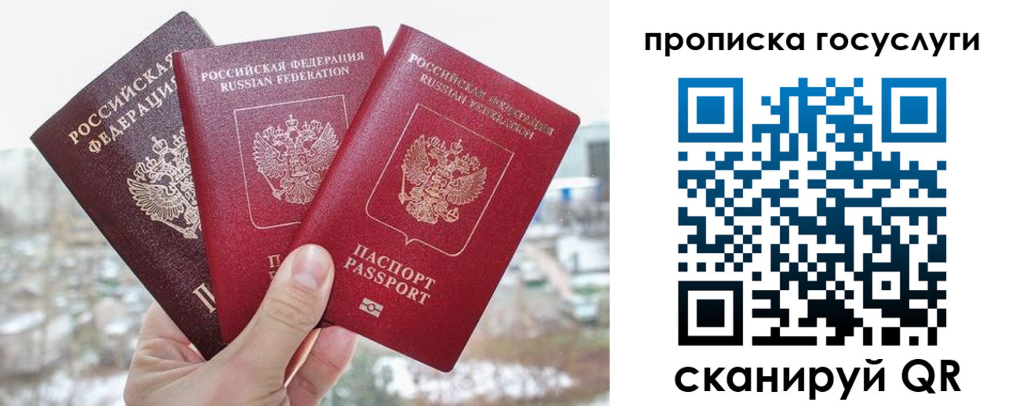 прописка законно в Псковской области